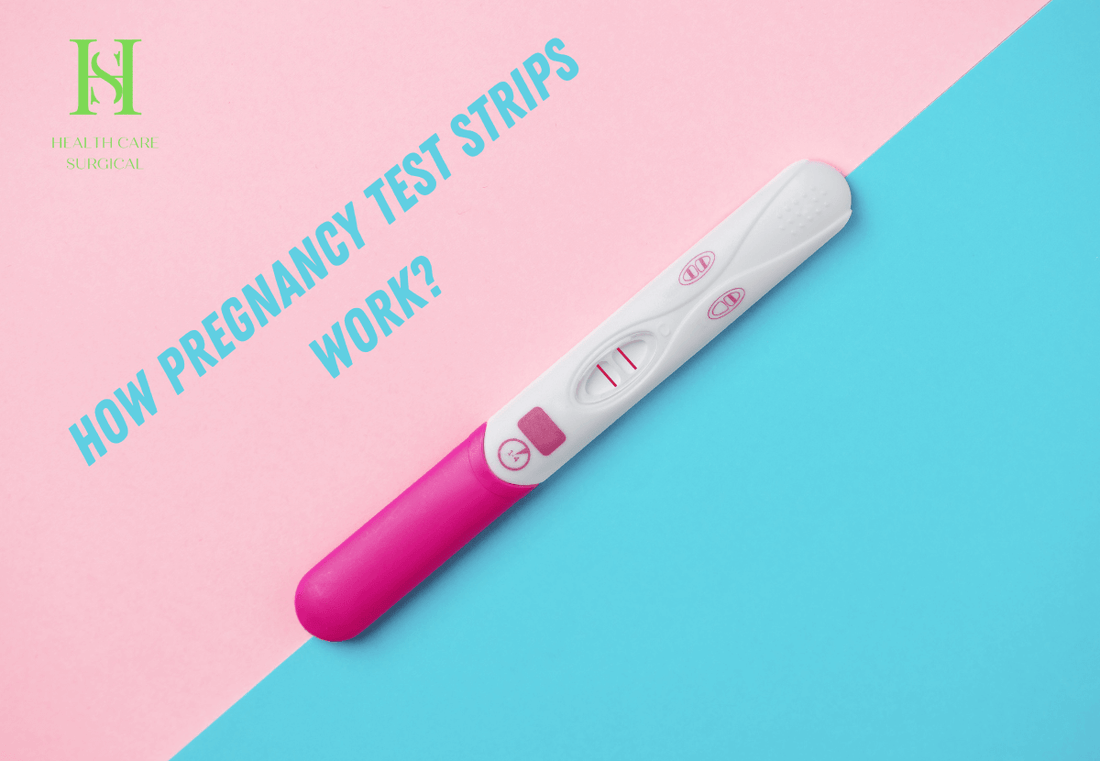 How Pregnancy Test Strips Work