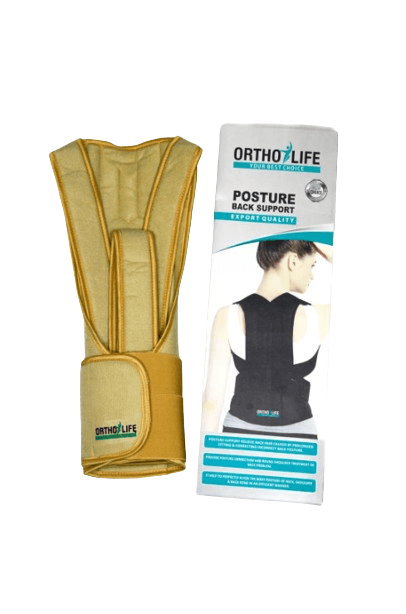 Posture Back Support Ortho Life